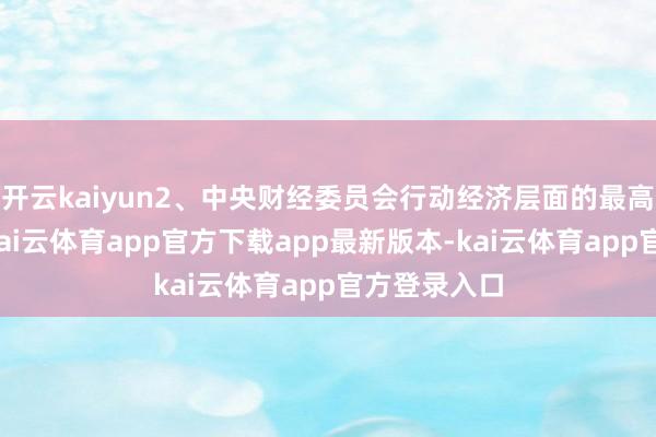 开云kaiyun2、中央财经委员会行动经济层面的最高指引机构-kai云体育app官方下载app最新版本-kai云体育app官方登录入口